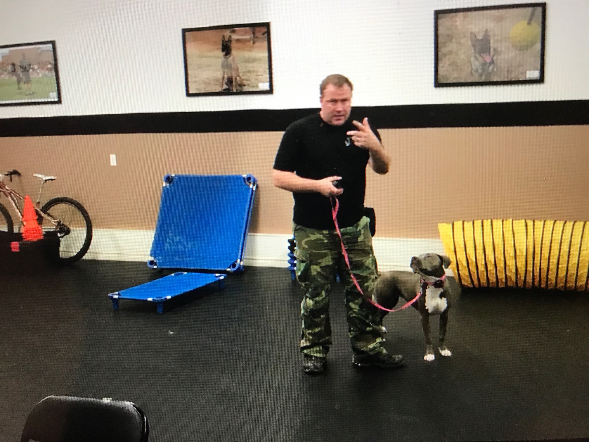 Duke Ferguson Conditioning The E Collar to a Pit Bull Unleashed