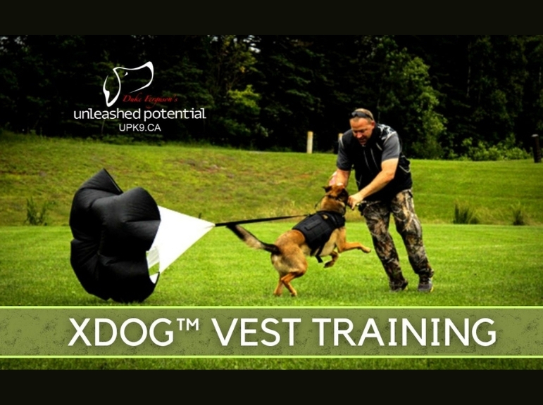 XDOG vest and parachute tarining
