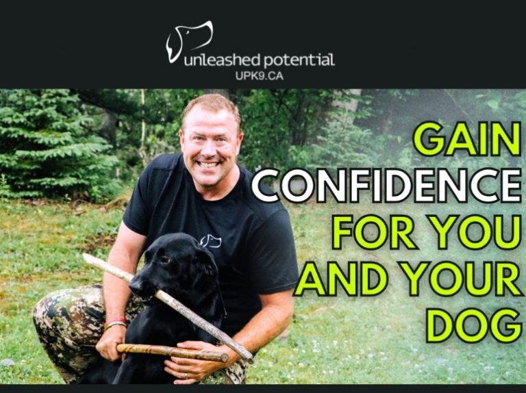 thumbnail confidence for you and your dog