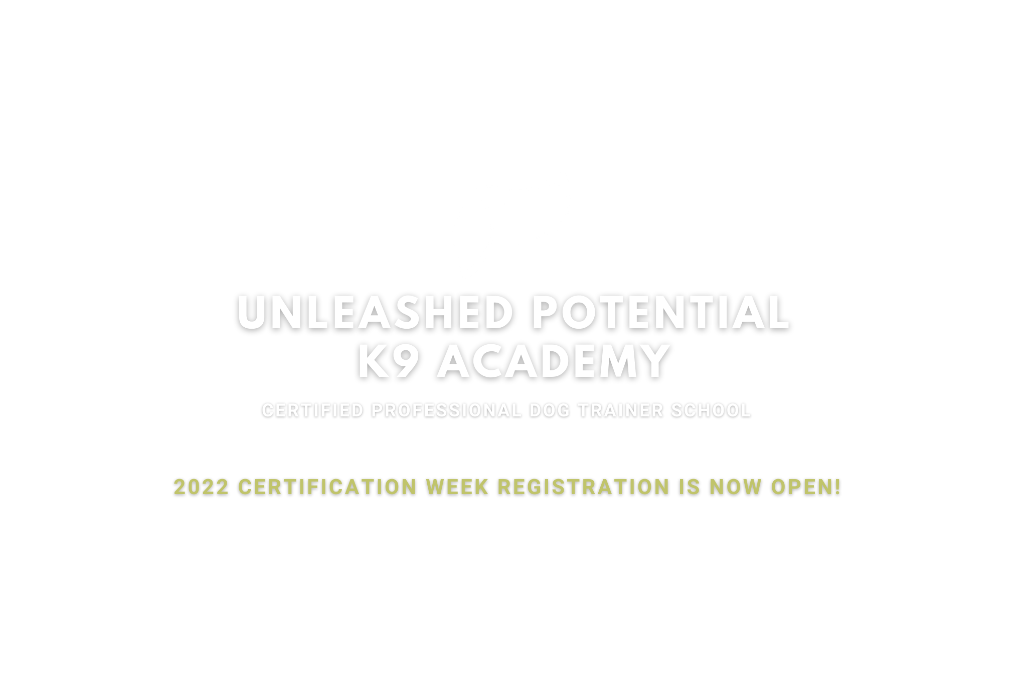unleashed potential k9 academy