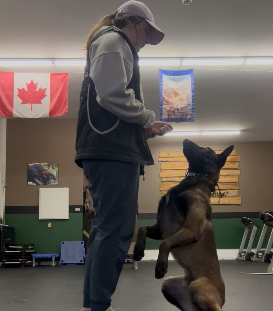 Trainer Makayla and Onyx